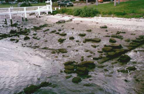 site photo